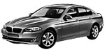 BMW F10 P220E Fault Code